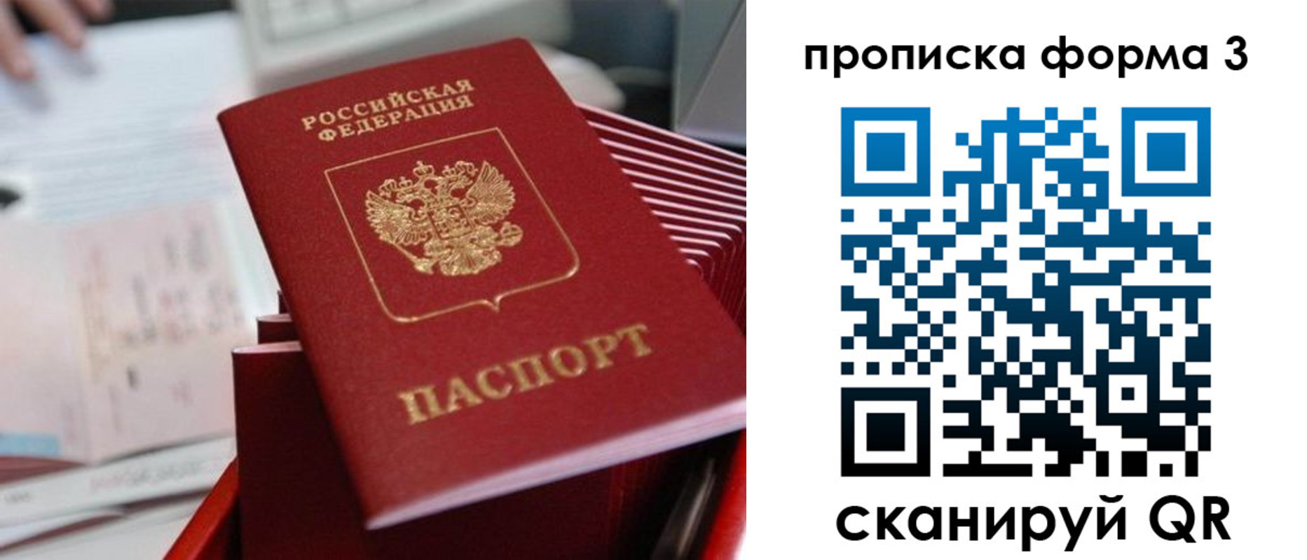 временная регистрация гарантия в Николаевске